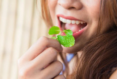 Daun Mint Bantu Atasi Bau Mulut, Solusi Alami yang Masih Jarang Disadari