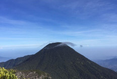 Jalur Pendakian Gunung Gede-Pangrango Ditutup Sepekan Akhir Juli
