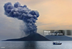 Erupsi Anak Krakatau Masih Dipantau BMKG, Abu Vulkanik Bergerak ke Berbagai Arah
