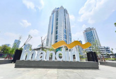 BMRI Jadi Sorotan! Saham Bank Mandiri Turun, Ini yang Perlu Diketahui Investor Pemula