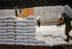 Stok Beras Nasional Jadi Sorotan, Stabilitas Harga Pangan Masih Perlu Dijaga