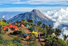 Ribuan Warga Teken Petisi Tolak Pengeboran 2.000 Meter di Gunung Ungaran