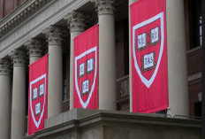 China Kuasai Harvard University, Ini Faktornya