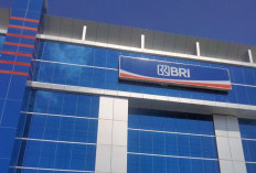 BRI Siap Gas Pembiayaan UMKM, Dana SAL Pemerintah Jadi Penguat Likuiditas Bank
