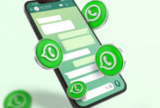 WhatsApp Uji Simpan Kontak Pakai Username, Tak Perlu Lagi Ribet Cari Nomor HP