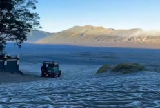 Suhu Udara Merosot Tajam, Fenomena Salju Perdana Selimuti Kawasan Wisata Gunung Bromo Tahun 2026