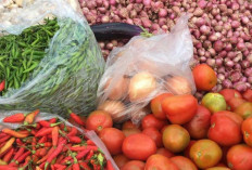 Harga Pangan 10 Agustus 2026 melonjak, Cabai Keriting Naik 30,86 Persen, tembus Rp65.300 per-Kilogram