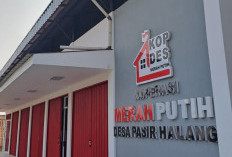 Gaji PNS Dipastikan Tak Dialihkan ke Kopdes Merah Putih, Ini Penjelasan Pemerintah