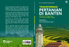 Transformasi Pertanian di Banten: Ketahanan Pangan dan Dinamika Kebijakan PAJALE (Padi, Jagung, dan Kedelai)