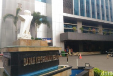 BKN Buka Program Magang Mahasiswa dan Fresh Graduate, Buruan Daftar!