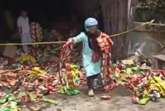 Lagi Kebakaran di Bengkulu, Gudang Snack Malah Dijarah Warga hingga 12 Orang Ditangkap Polisi