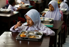 Ompreng MBG Kini Wajib Punya Batas Waktu Makan, BGN Perketat Pengawasan Cegah Keracunan