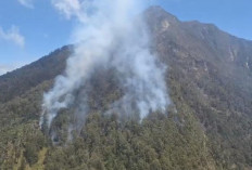 Gunung Arjuno Kembali Kebakaran, Pijar Api di Lereng Terlihat Jelas dari Gerbang Tol Malang